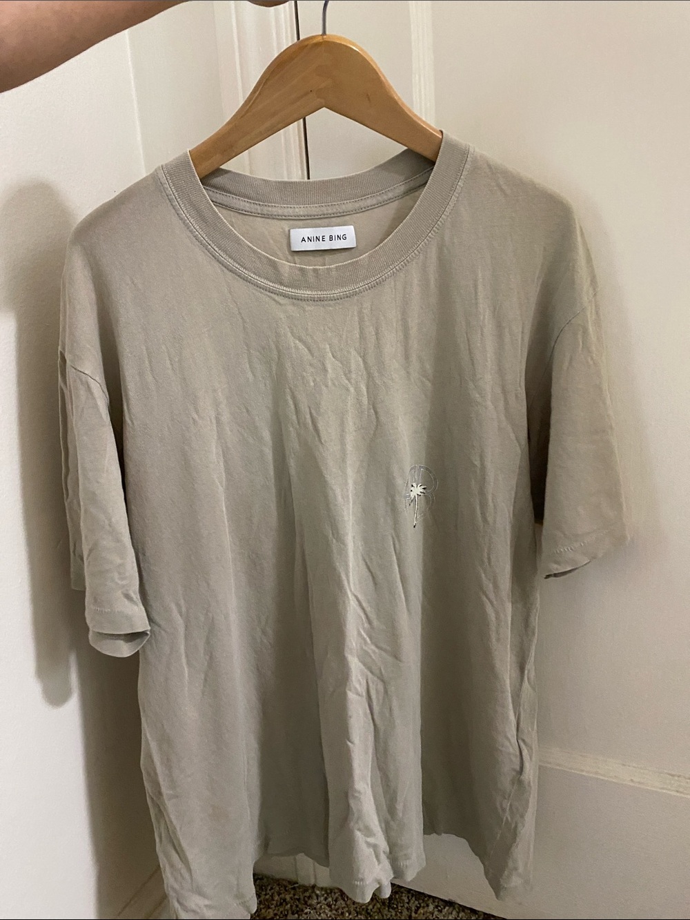 Anine Bing Women's Short Sleeve Tee in Light Taupe